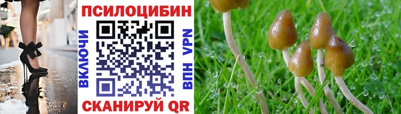Псилоцибиновые грибы мицелий  Каневская 